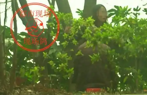 在这片公园,按摩女一般是躲在绿化带丛中,老人的蹲坐方式,刚好形成了