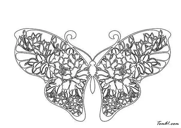 过去花窗墙的简笔画