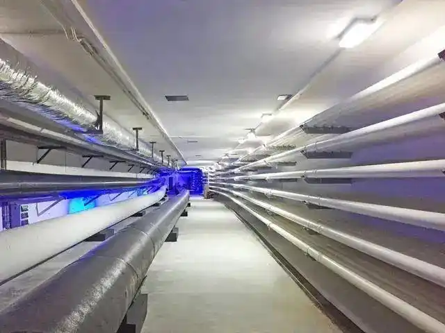 管廊建设, 城市综合地下管廊历史与作用详解!