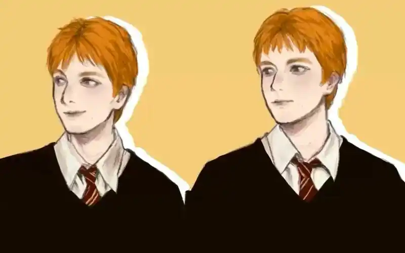 procreate韦斯莱双子我庄严宣誓我不干好事