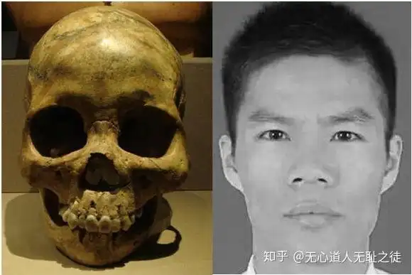 距今5000年屈家岭文化的北上湖北沙洋城河遗址屈家岭文