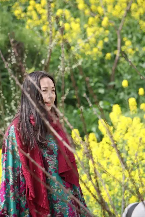 美,强奸,春天,女人,自然