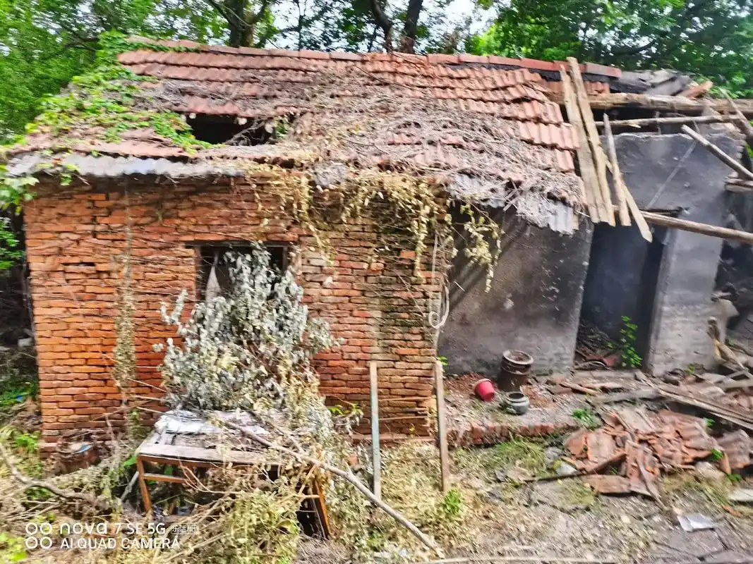 哥是农村乡下人 #只有照片能记录这份珍贵 #40度的高温天 - 抖音