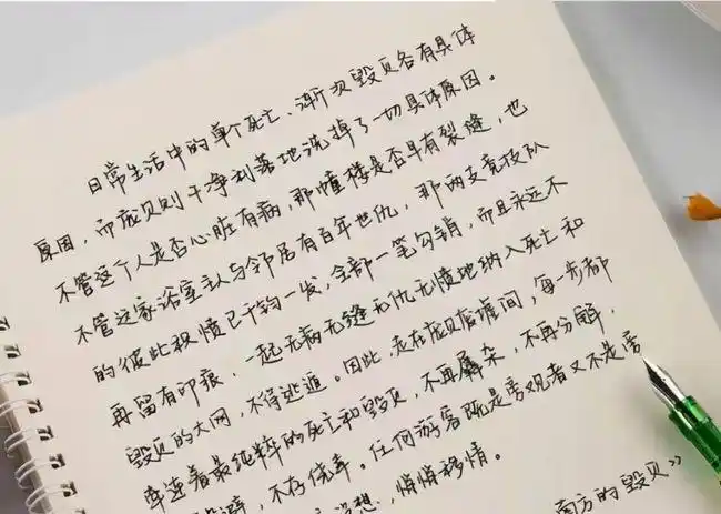 高中女生"饺子字体"火了,字形饱满像元宝,让老师眼前一亮