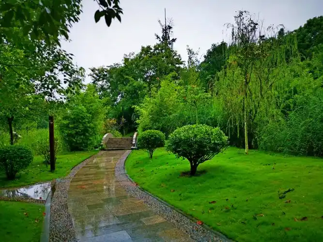 绵绵秋雨中的资阳三贤公园一角