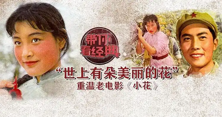 世上有朵美丽的花重温老电影小花