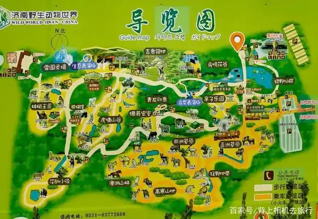 带你玩转济南野生动物世界,最新最强攻略来袭