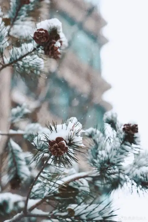分享相册里的一场雪