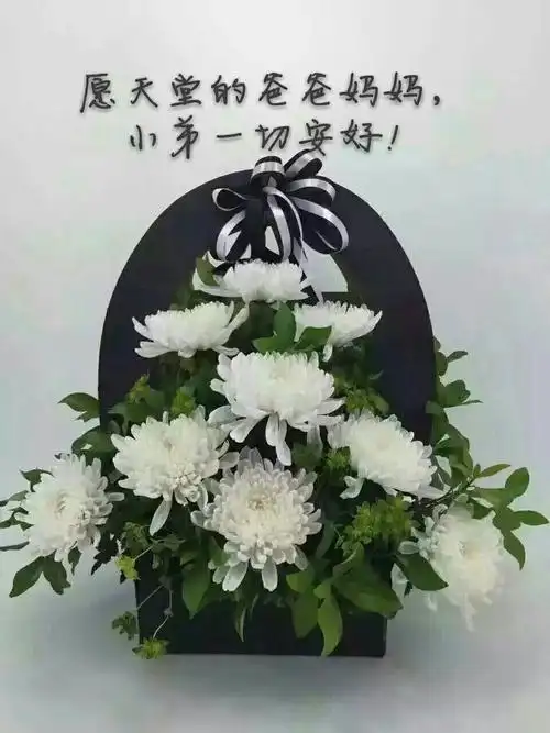 精美文字摘录 - 好句子大全