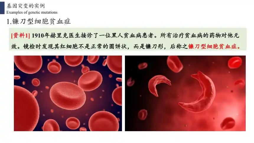 高中生物人教版2019必修二51基因突变和基因重组共26张ppt