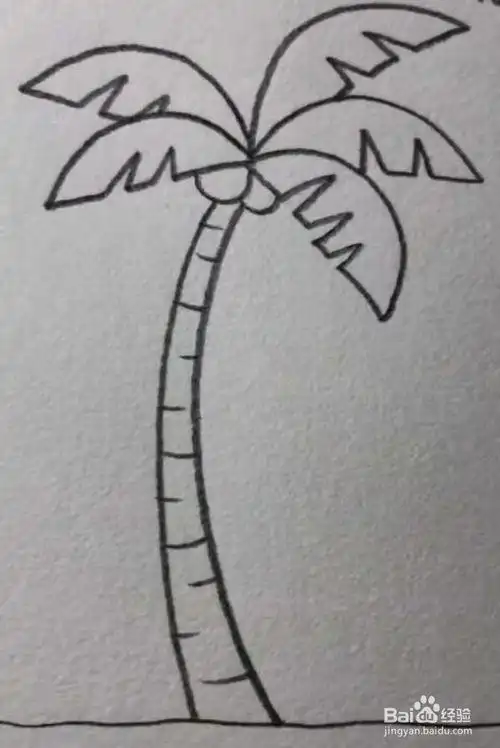 简笔画椰子树