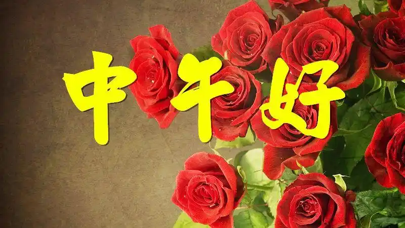 亲爱的,中午好,真的想你 好想,好想你,你听到了吗!