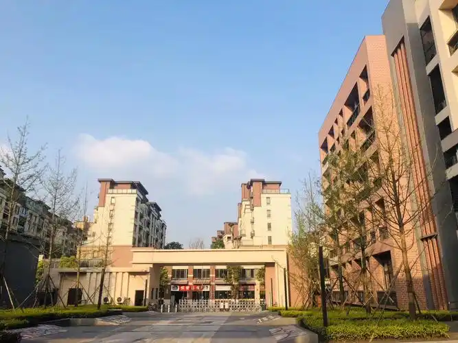 重庆市沙坪坝区树人小学校