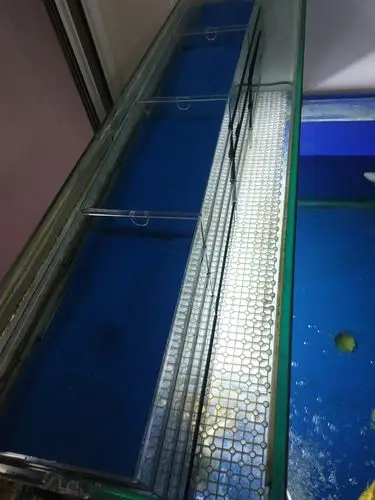 优化锦鲤地缸滴流过滤