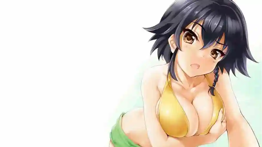 大胸性感动漫美女桌面壁纸图集