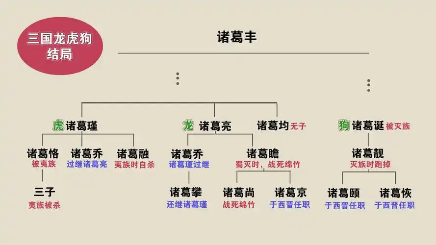 【三国031】诸葛亮家族有多惨,三国龙虎狗,除了诸葛亮,都被灭族