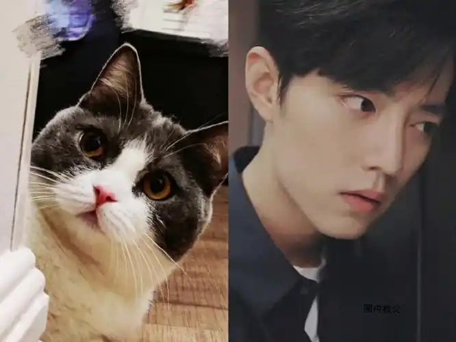 肖战绿洲晒坚果照片##肖战