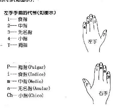 谈吉他时 代表左手四个手指的字母是哪四个?