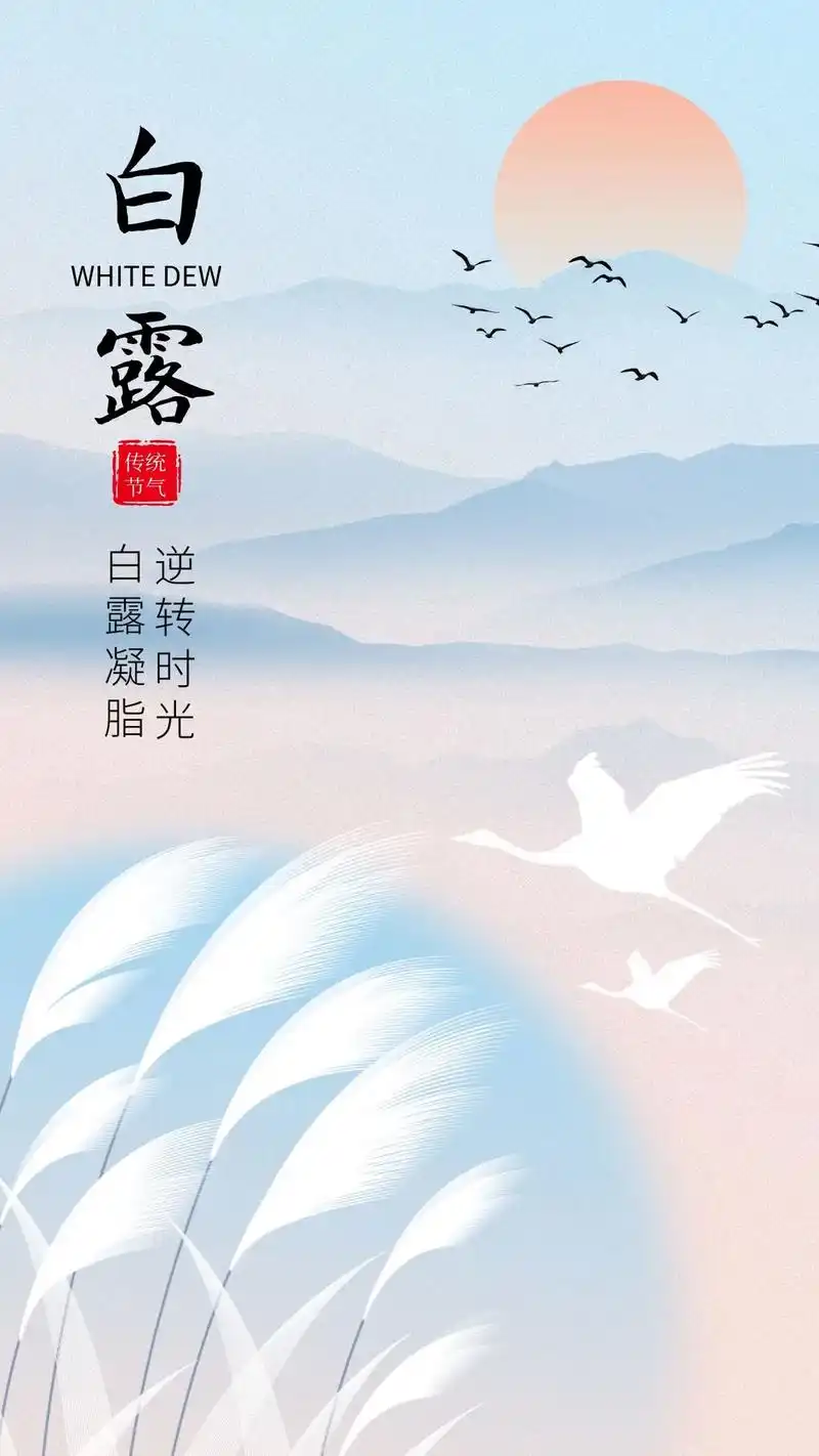 露从今夜白.#白露 #传统文化 #二十四节气 #节气养生 # - 抖音