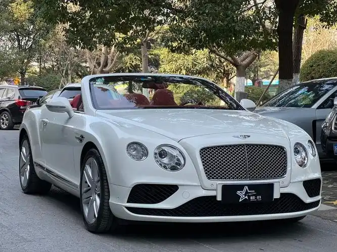 宾利 欧陆  2017款 4.0t gt v8 敞篷版图片