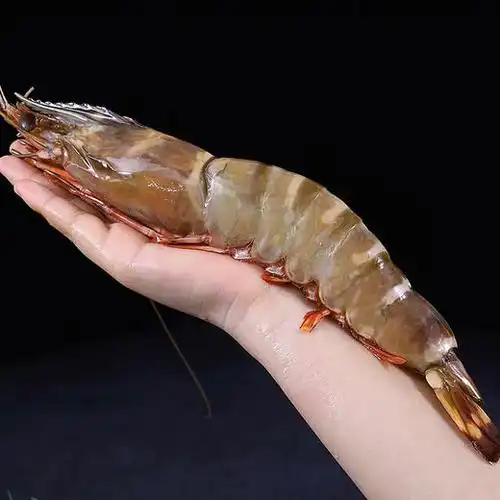 深海捕捞泰国爆膏手臂虾一对500g600g