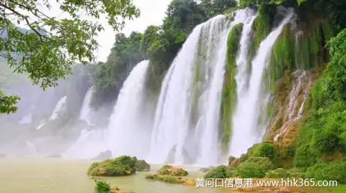 图】15336477777 - 18764588888 - 东营移动号码信息 - 黄河口信息港