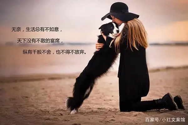 情感语录扎心伤感的文案短句