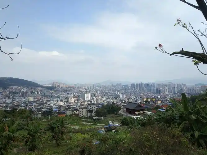 福建省宁德市蕉城区莲峰路靠近灵溪禅寺天气预报