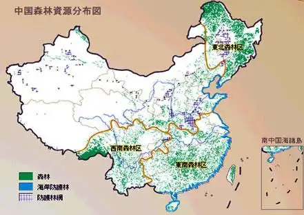 森林资源分布在我国哪些区域
