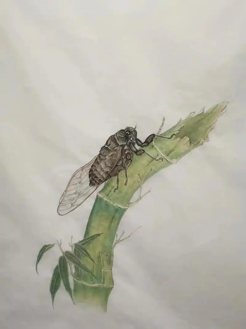 工笔画蝉,一鸣惊人#手绘 #画画 #一起学画画 #原创 #国 - 抖音
