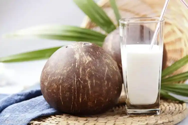 椰子水排毒?揭开"超模圈最流行"椰子真相!(转载)