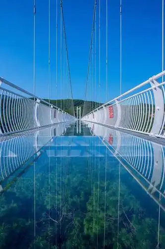 网红5d玻璃桥机动游戏狂欢还有百亩花海国庆首选它