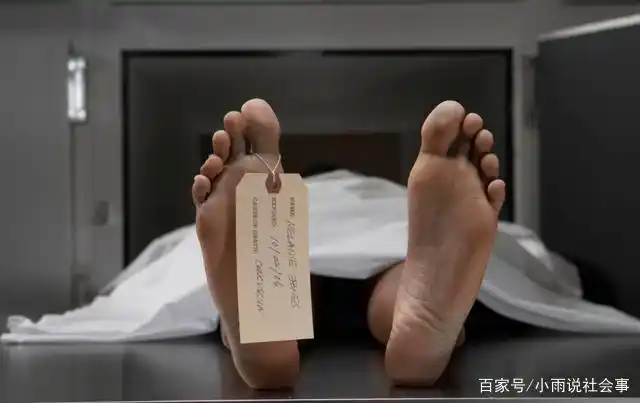 几乎没有科学研究告诉我们,人死后大脑的反应是什么,但是在2014年的