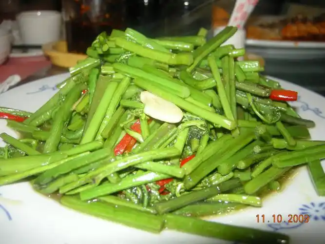 北国风味饺子馆 炒蕨菜