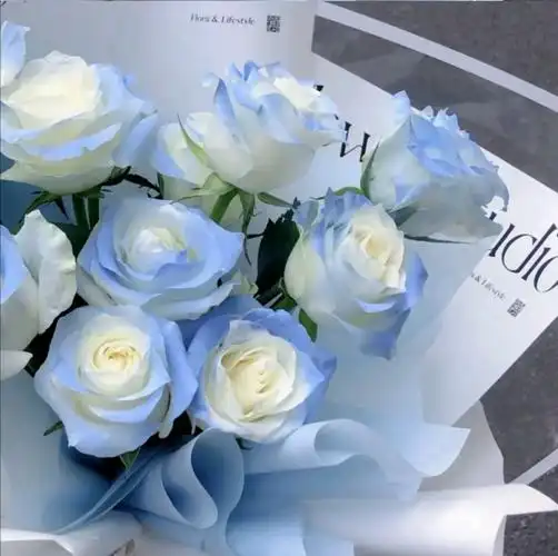 密西根碎冰蓝渐变玫瑰 - 堆糖,美图壁纸兴趣社区