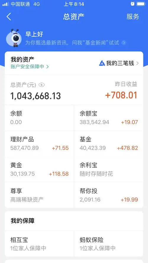 请用你们的账户余额羞辱我