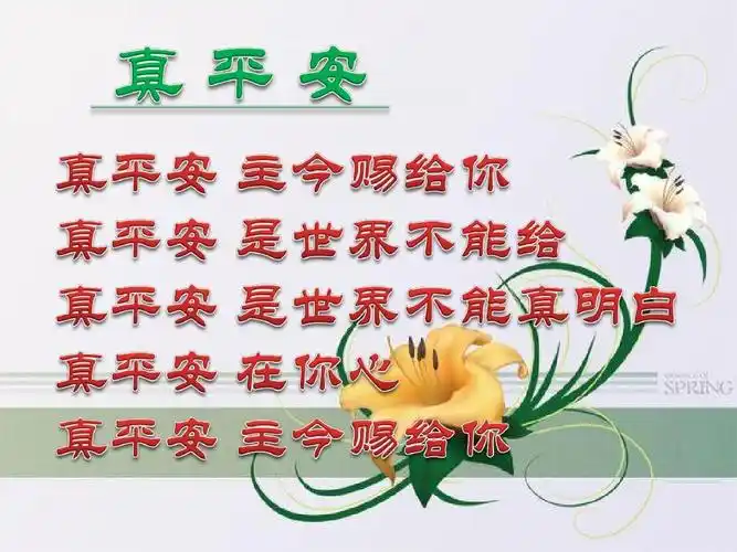 93 真平安ppt