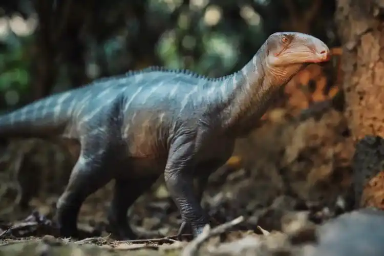 恐龙模型摄影pnso禽龙