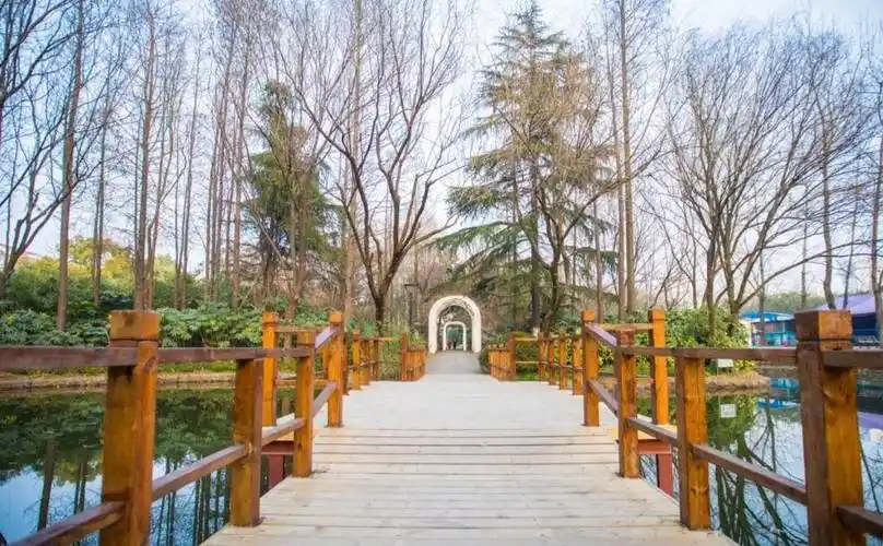 上海宝山友谊公园十分美丽_娱乐_游客_景点