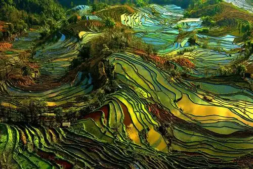 云南元阳梯田旅游攻略_昆明元阳梯田几月去好?