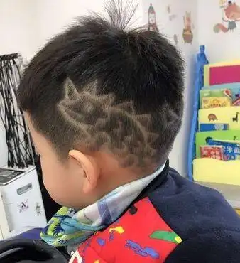 刚在爷爷奶奶的带领下剪完头发,板寸飞机头加上侧面雕刻的闪电纹路,让