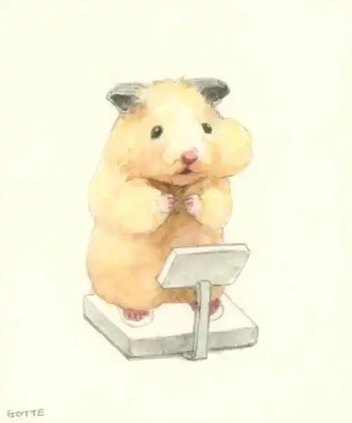 有很多模仿人的行为,又带着仓鼠可爱的特性~非常非常喜欢吃瓜子,还有