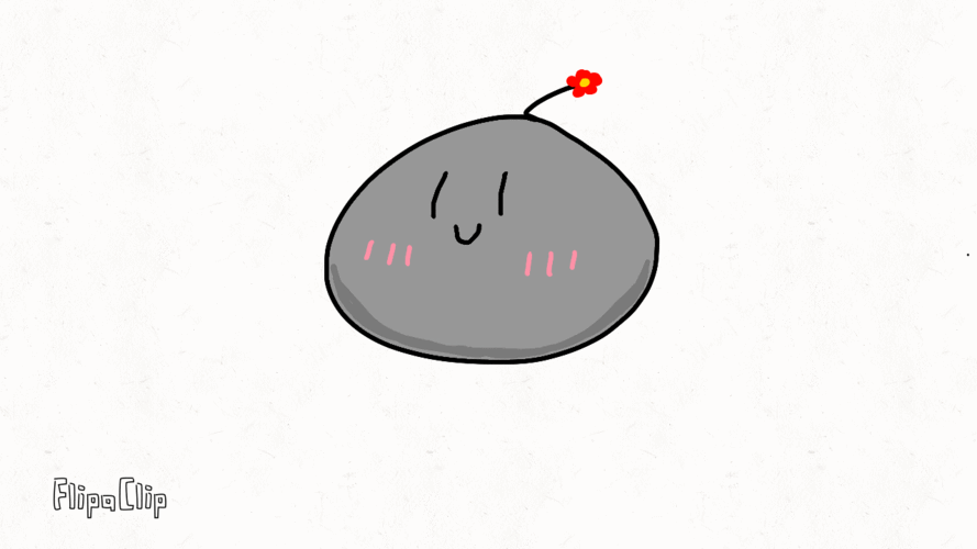 今天是落泪黑煤球