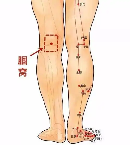 用这2个方法!|艾灸|阳陵泉|肌肉|承山穴|穴位_网易订阅