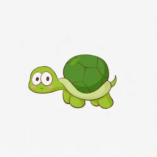 简笔画28小乌龟