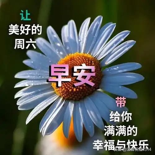 送给朋友周日的祝福语(周末快乐祝福语 周末愉快图片大全)_一路发美文