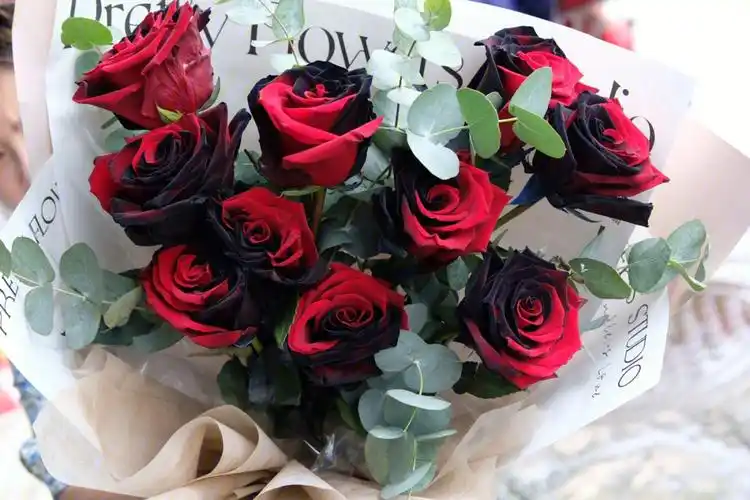 厄瓜多尔卡门玫瑰