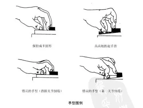 弹电子琴手指该怎么放