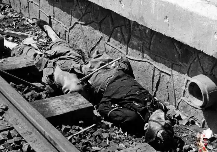 日本记者拍摄的侵华老照片: 百姓屈辱, 被肆意屠杀