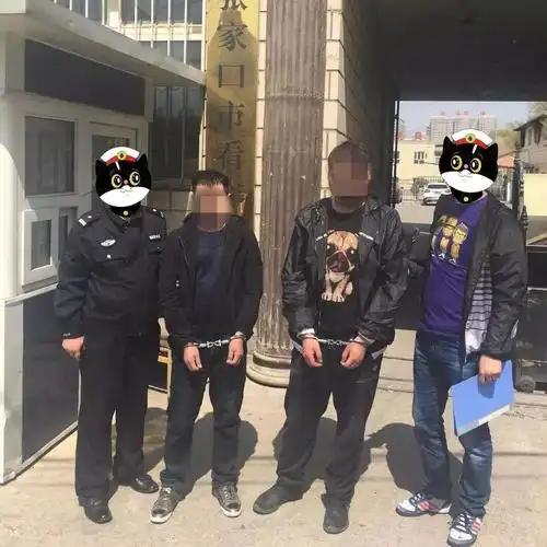 实拍张家口建国路,西坝岗,新华街等地抓捕现场!大快人心!